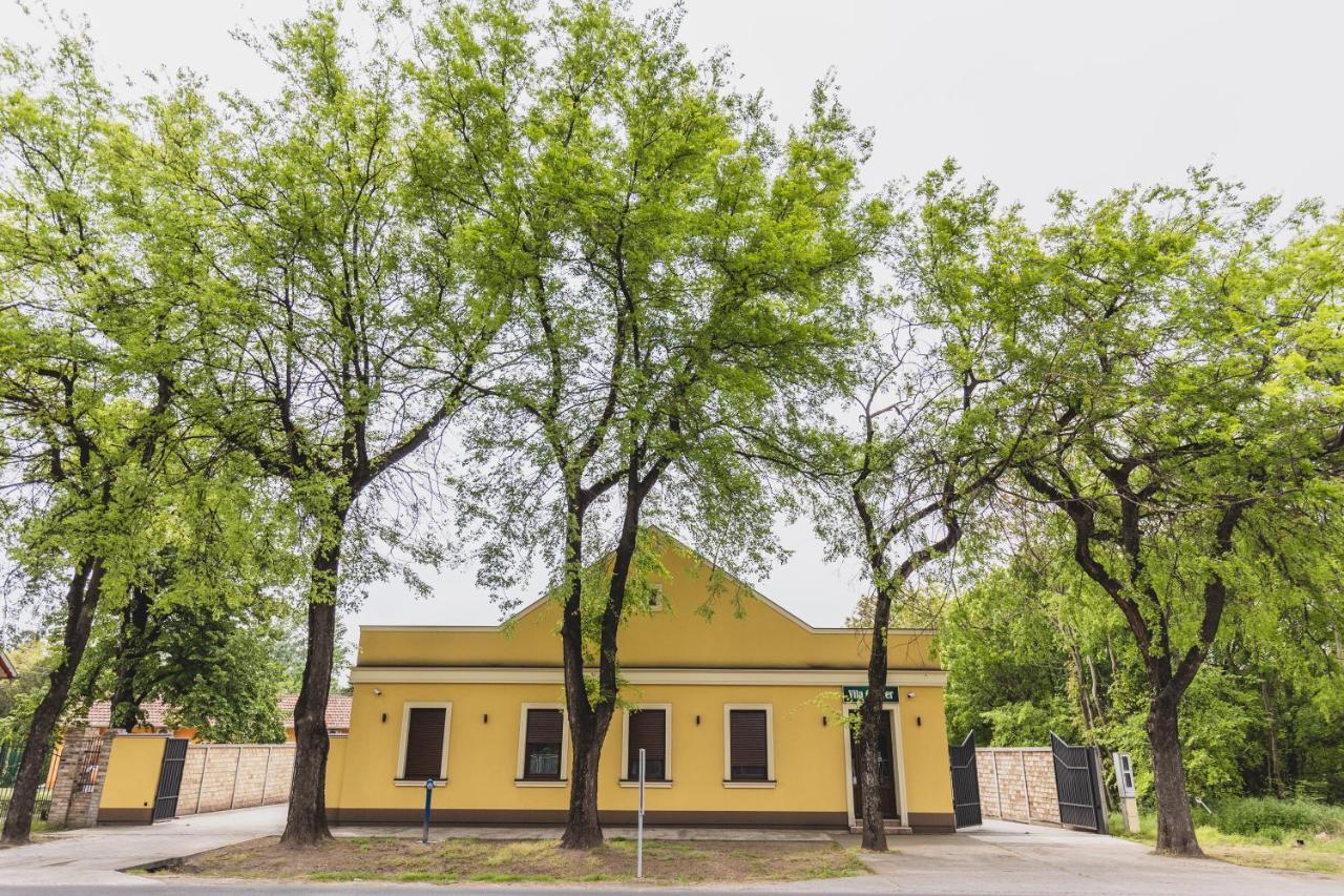Vila Guliver Палич Экстерьер фото